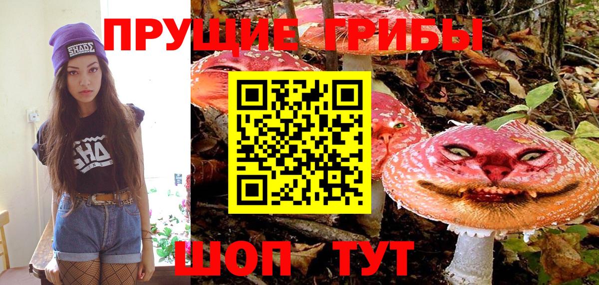 Галлюциногенные грибы Psilocybe  Псилоцибиновые грибы Psilocybine cubensis  Вход с VPN  Соликамск 