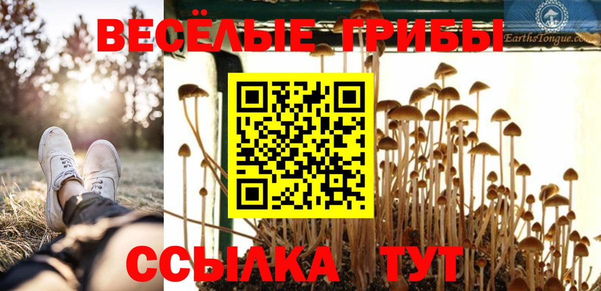 Галлюциногенные грибы Magic Shrooms Соликамск
