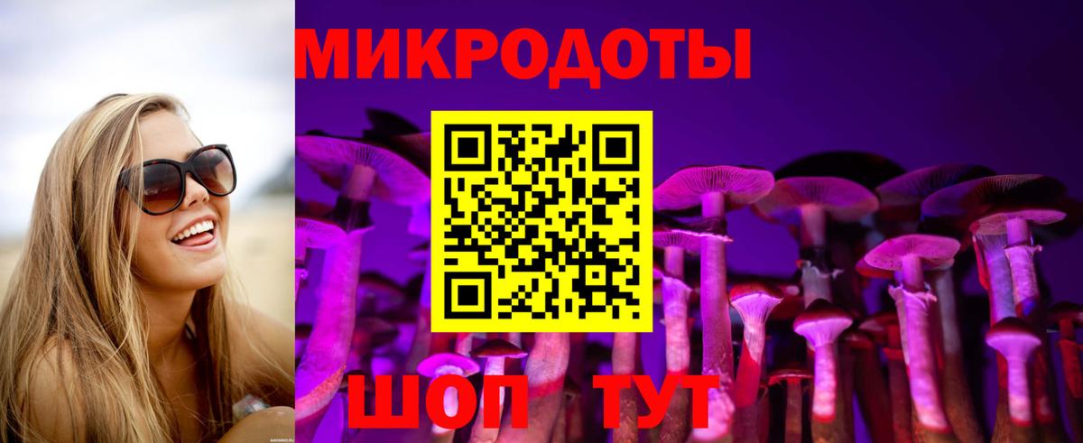 Псилоцибиновые грибы Psilocybine cubensis Соликамск